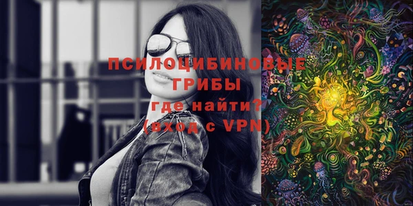 a pvp Алексин