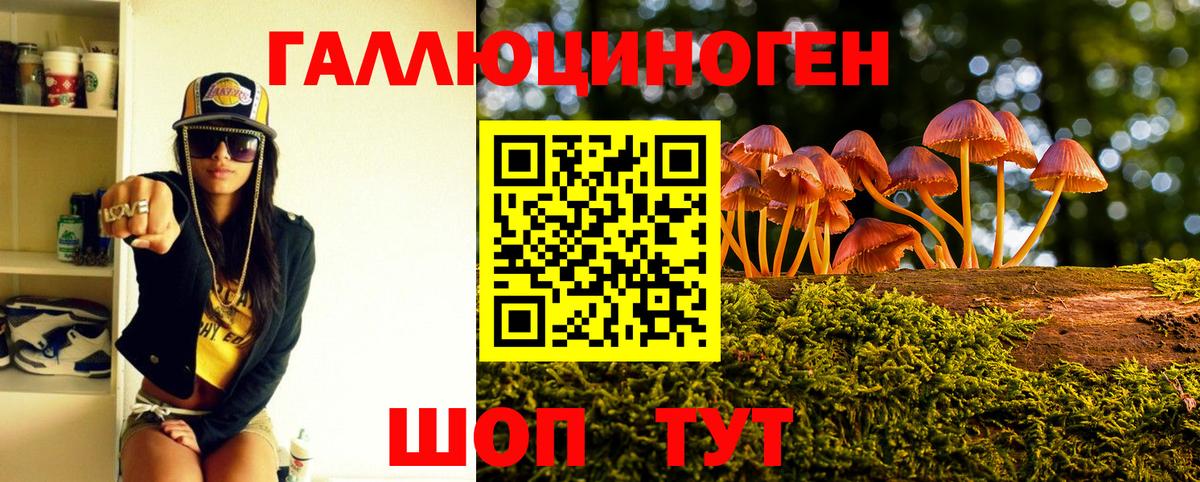 сколько стоит  Псилоцибиновые грибы Cubensis  Вход с VPN  Арсеньев  Псилоцибиновые грибы прущие грибы 